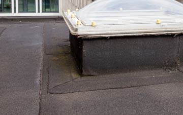 disadvantages of Bowlees flat roofs